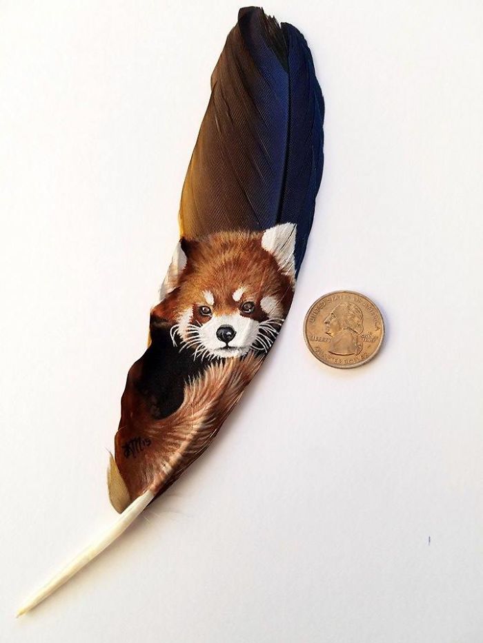 a penny is sitting next to a feather with a red panda on it's side