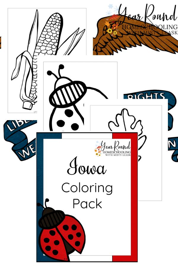 four different coloring pages with ladybug and bird