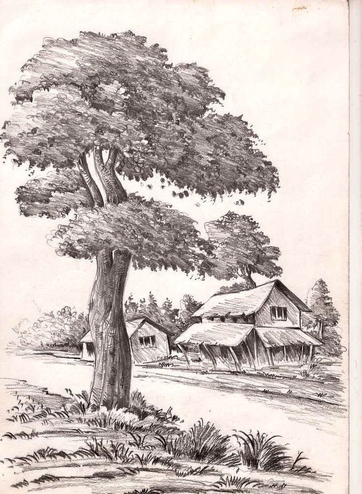 a pencil drawing of a tree and some houses