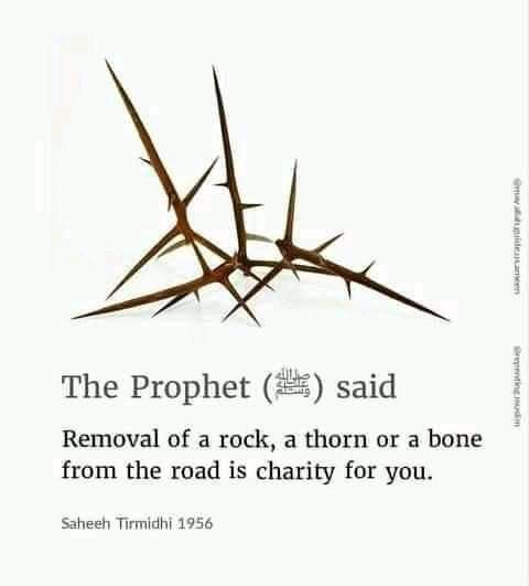 the prophet said removal of a rock, a thorn or a bone from the road is charity for you