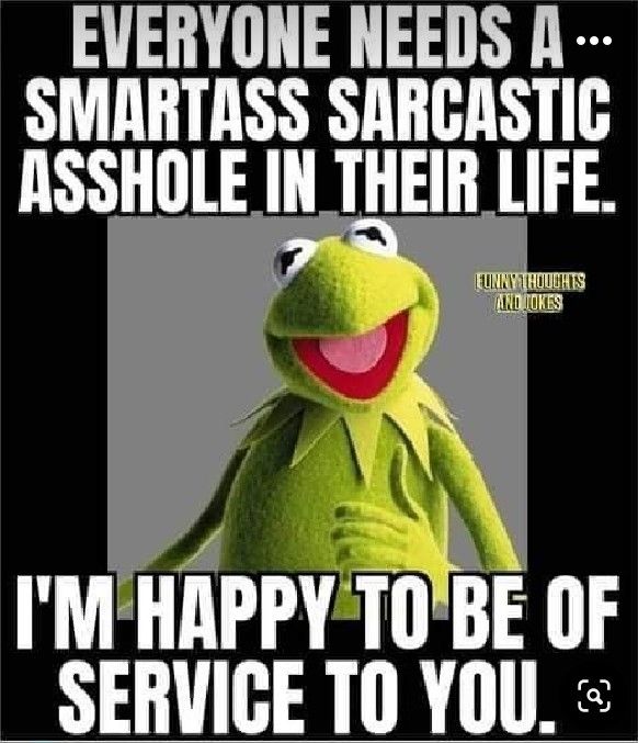 kermie the frog saying everyone needs a smartass sarcastic ashole in their life i'm happy to be of service to you