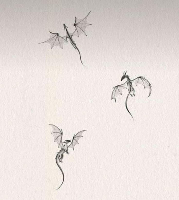 three dragon drawings flying in the air