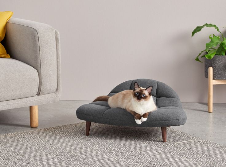 a cat laying on top of a grey chair