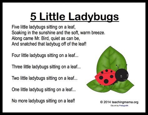 a ladybug sitting on a leaf with the words 5 little ladybugs