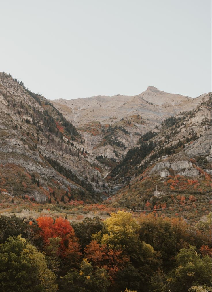 Fall foliage in the mountains, Utah aesthetic, mountain photography, background, autumn, mountain girl, travel Utah Fall Aesthetic, Fall Mountain Aesthetic, Fall In Mountains, Desert Mountains Aesthetic, Mindful Intentions, Utah Mountains Aesthetic, Capri Aesthetic, Colorado Vibes, Utah Aesthetic