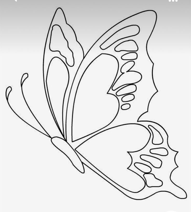 a drawing of a butterfly on a white background