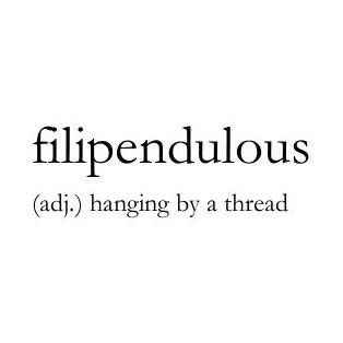 the word filipenduous is written in black and white