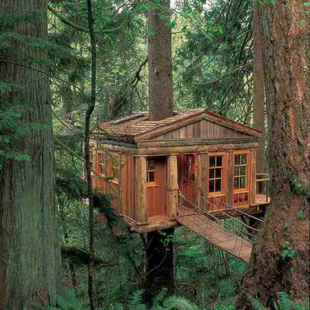 a tree house in the middle of a forest