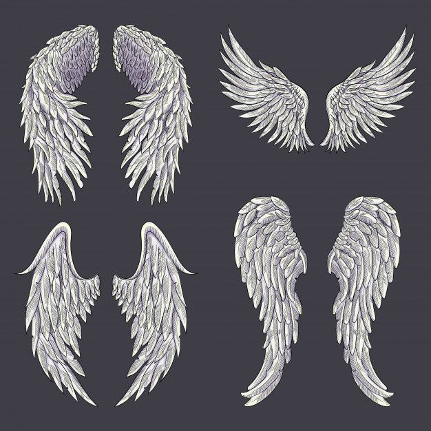 white angel wings on a dark background, set of nine different angles and sizes for use in graphic design