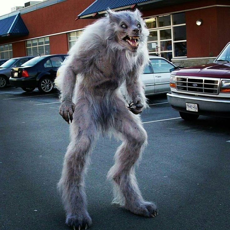 a large furry creature standing in the middle of a parking lot