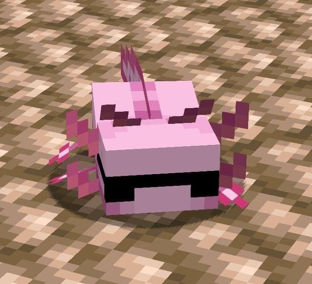 an image of a pink box with scissors in it's mouth on the ground