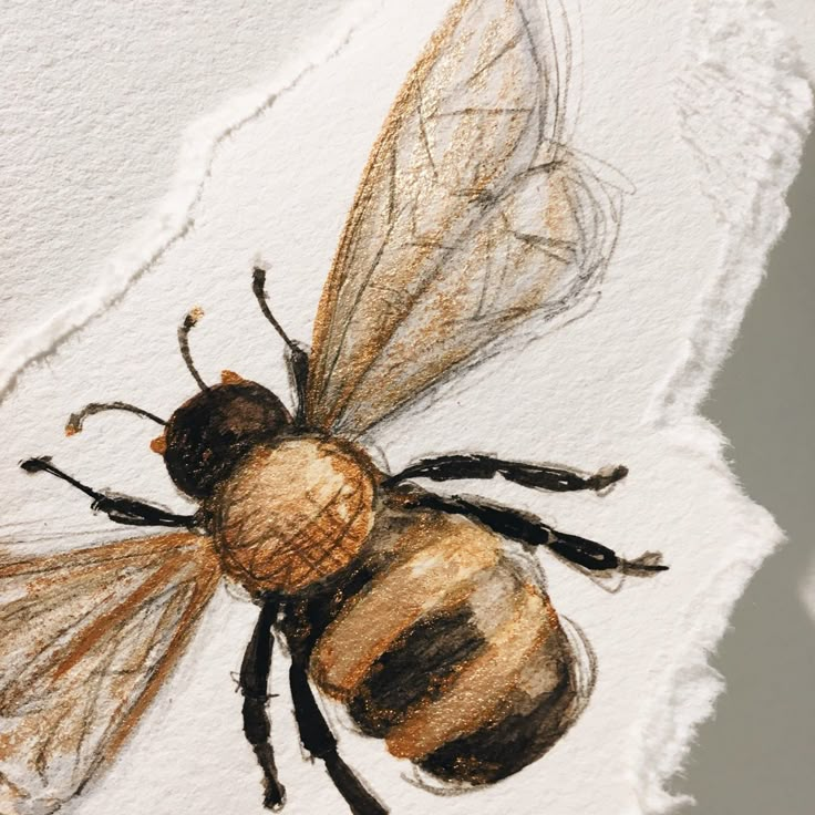 two bees sitting on top of each other in front of a white wall with peeling paint