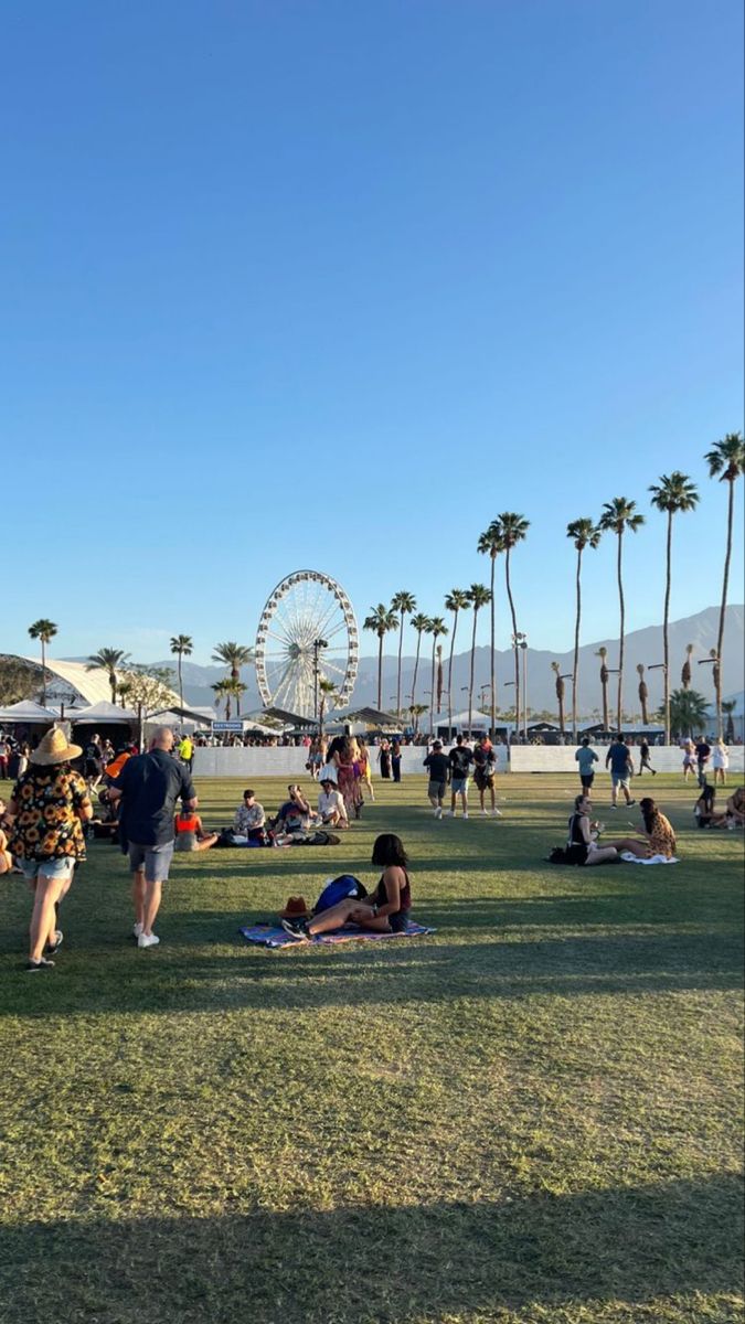 people are sitting on the grass in front of palm trees and ferris wheel at an amusement park