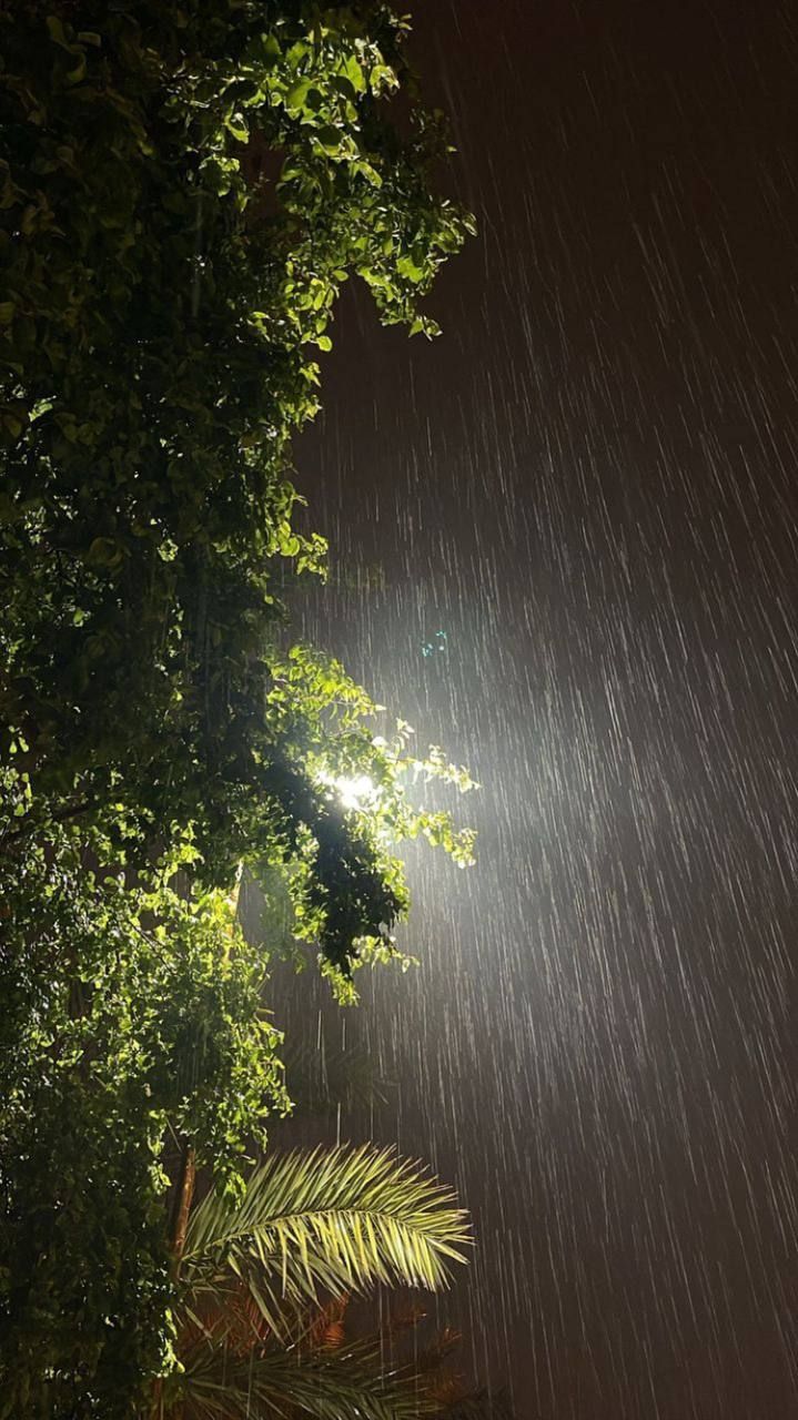 the light shines brightly through the trees on a rainy night in the rain storm