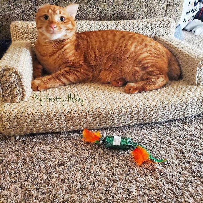 an orange tabby cat laying on top of a couch next to a toy fish