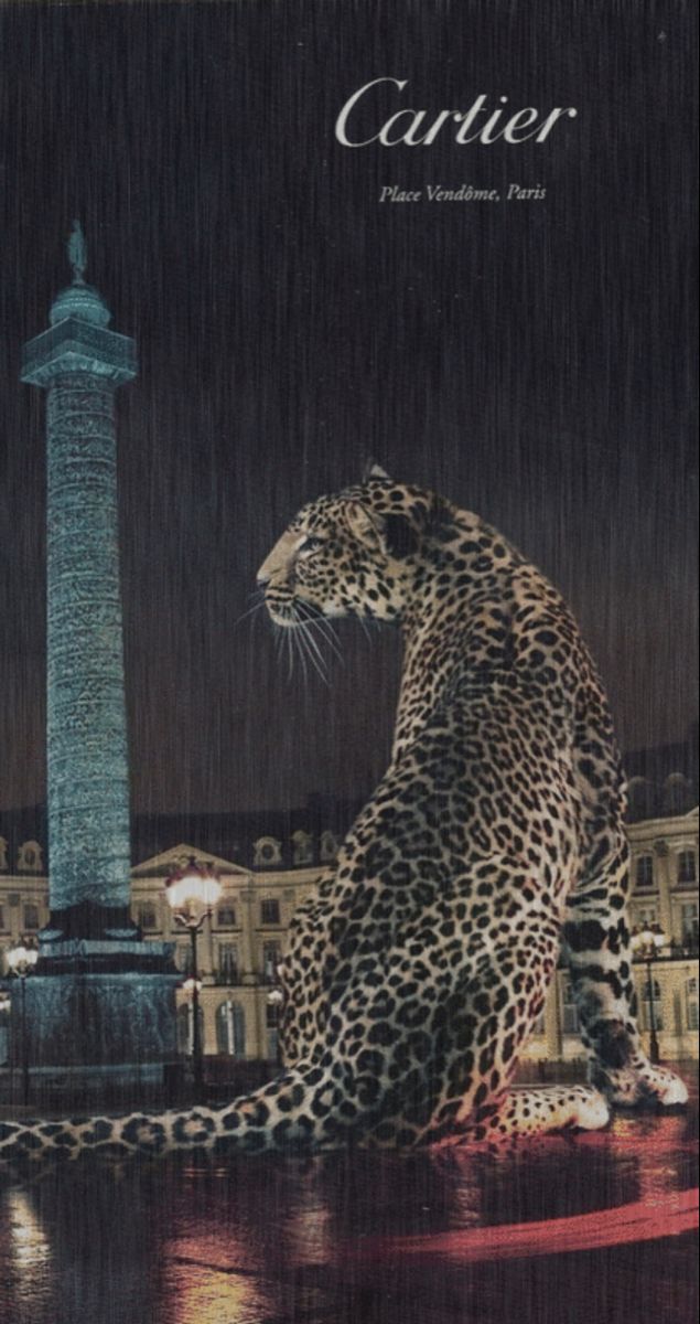 a large leopard sitting on top of a lush green field next to a tall building