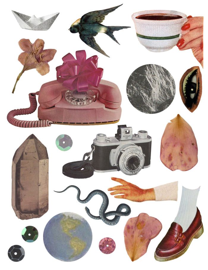 collage of various objects including an old phone, bird, camera and other items