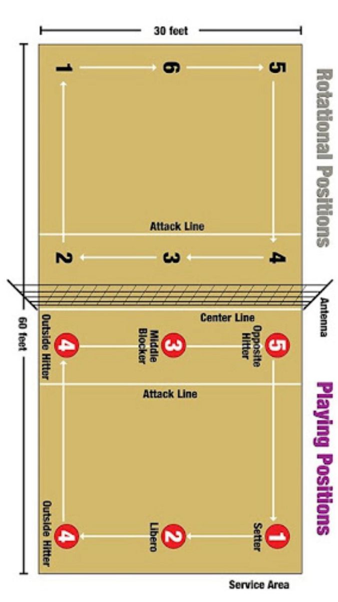 an image of a basketball court with the lines marked out and numbers on each side