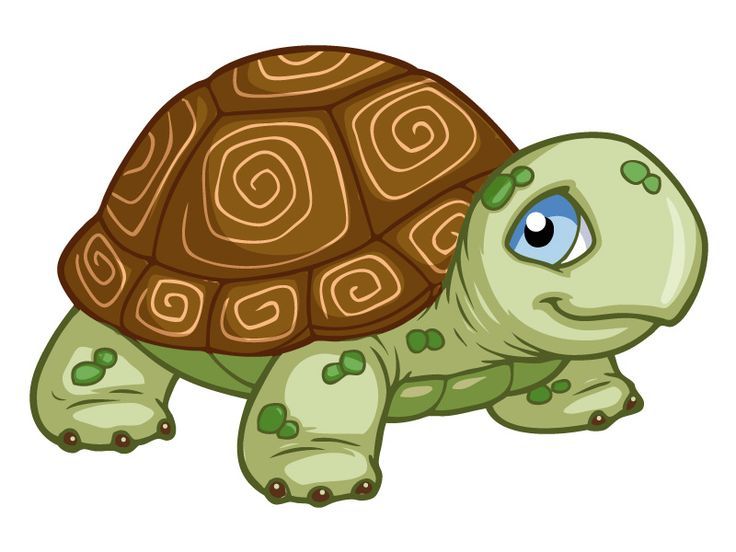 Tortue dessin, Dessin de tortue, Image de tortue