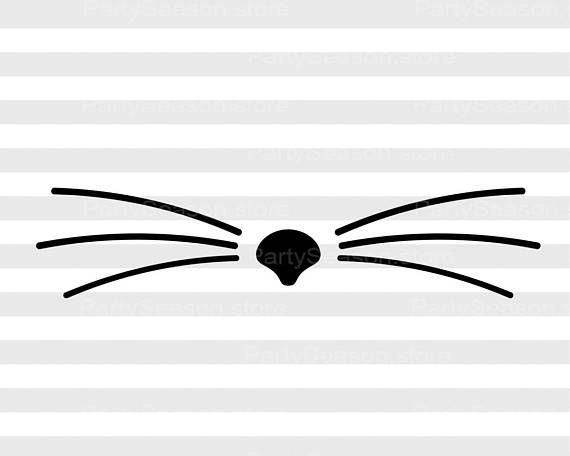 a black and white cat's face with its eyes wide open on a striped background