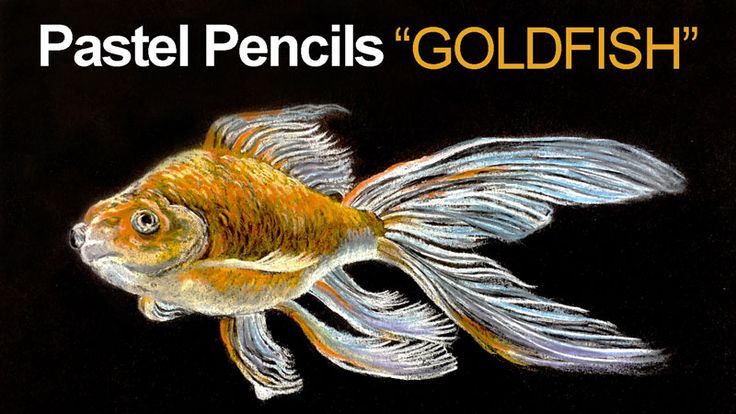 a drawing of a goldfish with the words pastel pencils for goldfish