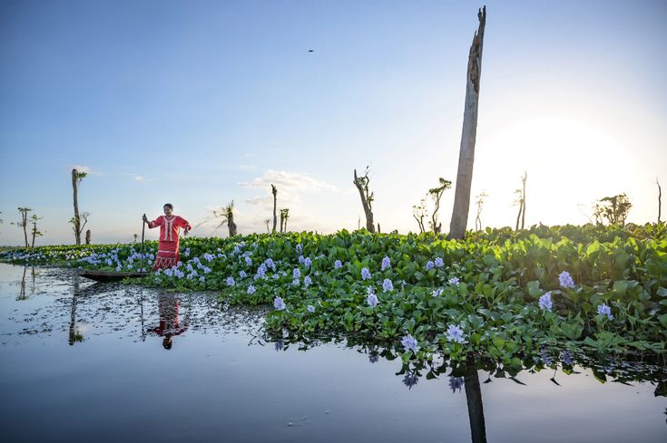 a man standing on top of a boat in the middle of a swampy area