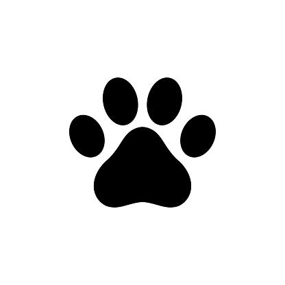 an animal's paw print on a white background