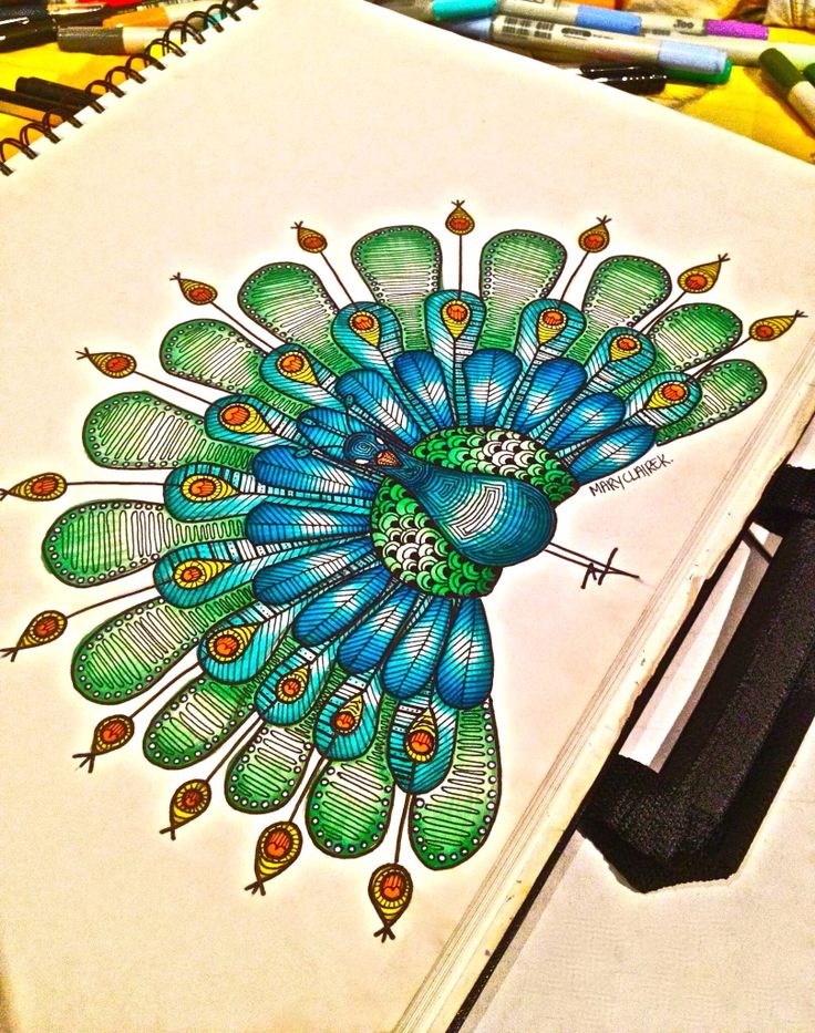 a drawing of a peacock with feathers on it