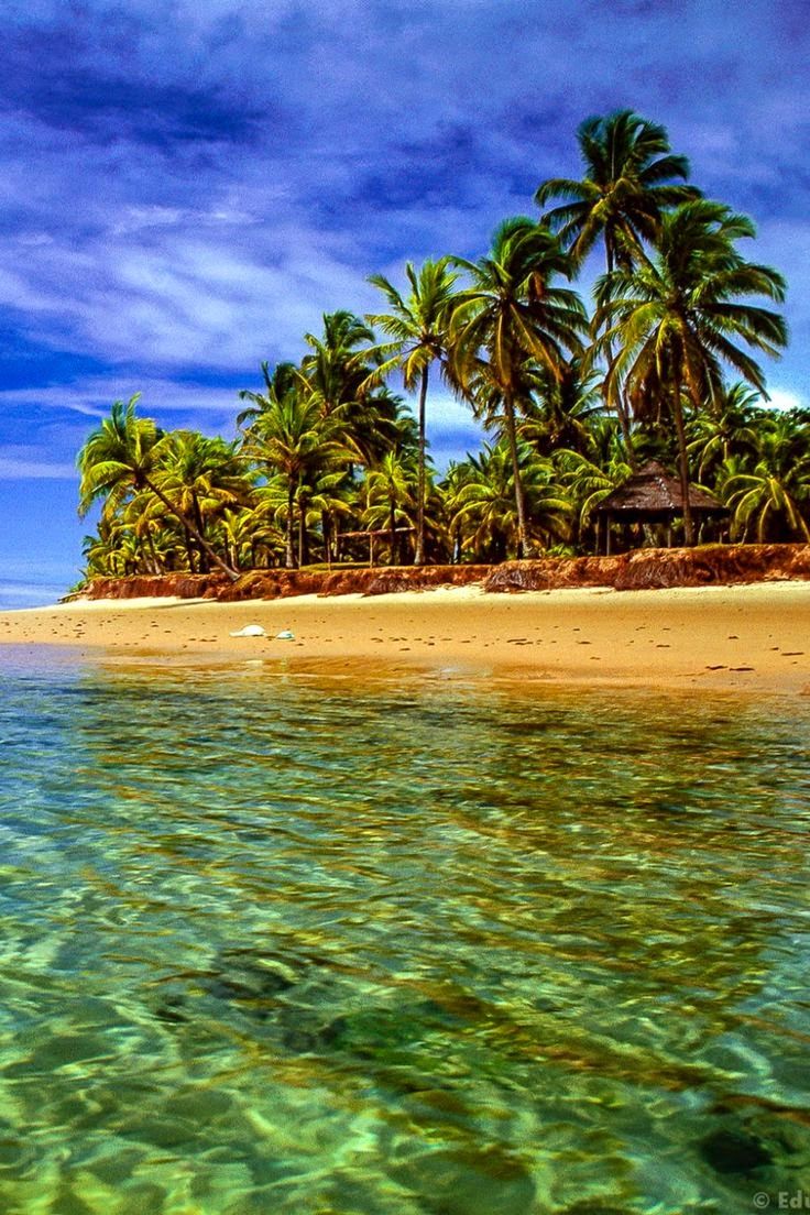 an island with palm trees and clear water