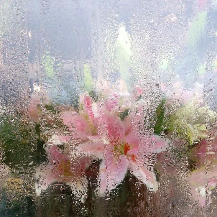 pink flowers are sitting in vases on a window sill, behind which is water droplets