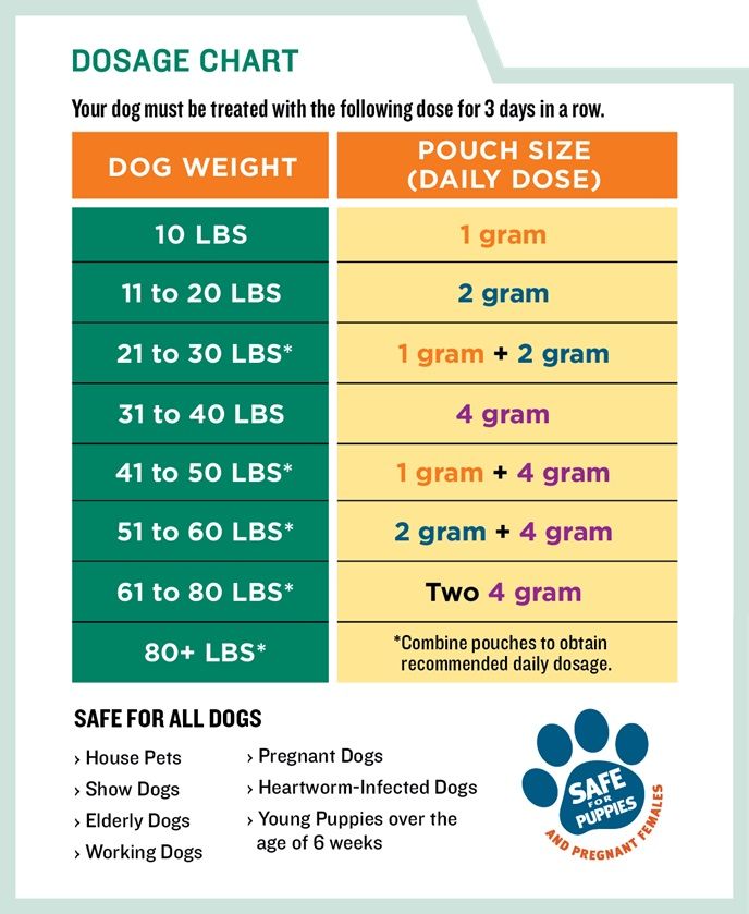 the dog training chart for dogs is shown in this graphic above it's description