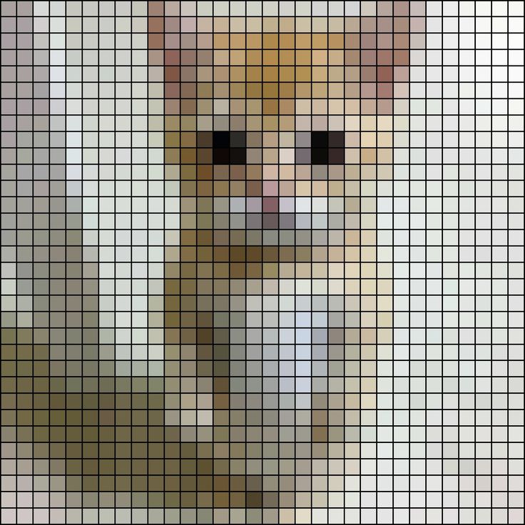 an image of a cat that is made out of pixellated squares and has black eyes