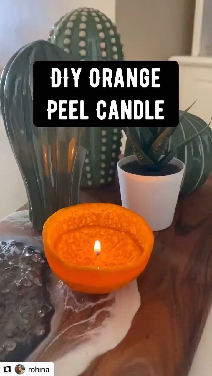 an orange candle sitting on top of a table next to cacti and succulents