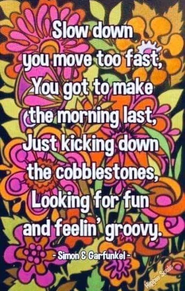 the quote slow down you move to fast you got to make the morning last just kicking down the cobblestones looking for fun and feelin grooy