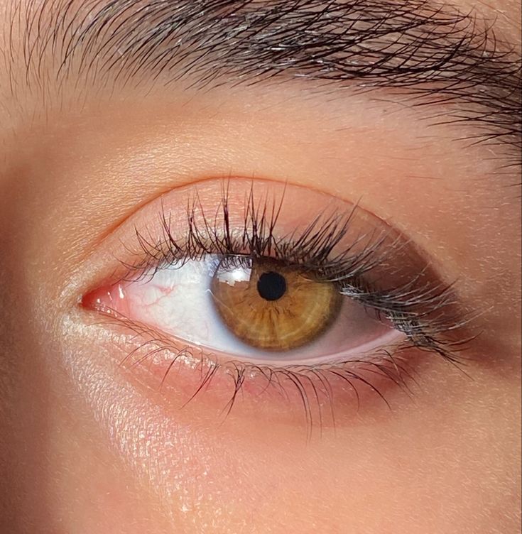 #hazel#eye#hazeleye Hazel Yellow Eyes, Hazel Gold Eyes, Bright Hazel Eyes, Light Hazel Eyes Aesthetic, Hazel Brown Eyes Aesthetic, Mata Hazel, Aesthetic Hazel Eyes, Hazel Eye Color, Light Hazel Eyes