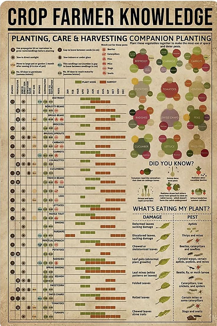 the crop farmer's guide to planting and harvesting info sheet, with information about crops