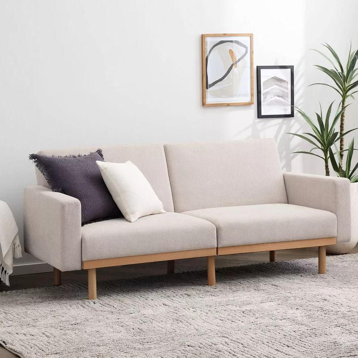 a living room scene with focus on the sofa and pillows, along with a potted plant