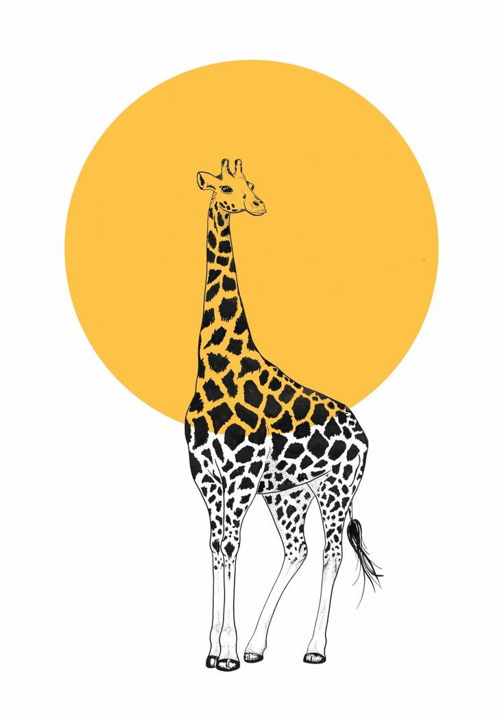 a giraffe standing in front of an orange sun