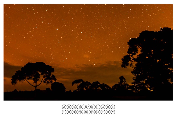 the night sky is filled with stars and trees in silhouette, as well as an orange glow