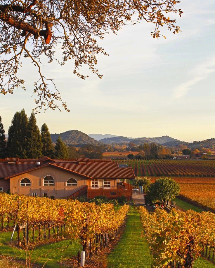 a house in the middle of a vineyard surrounded by hills and trees with yellow leaves on them