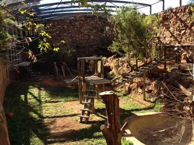 an outdoor area with various wooden structures and trees