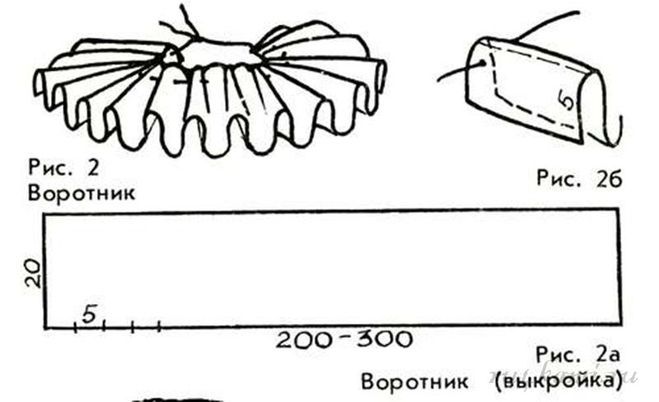 the diagram shows different parts of an insect's body, including its legs and head