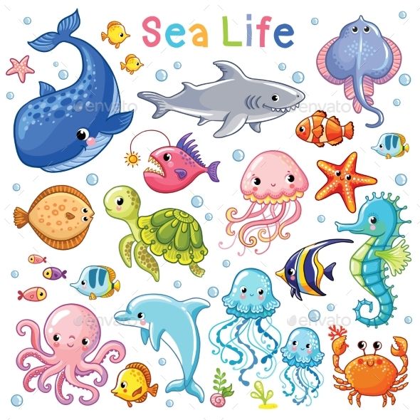 sea life with fish, octopus, whale, dolphin and other animals on a white background