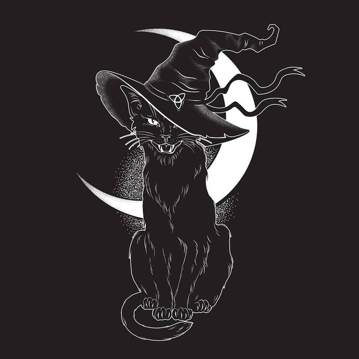 a black cat wearing a witches hat sitting on top of a crescent with the moon in the background