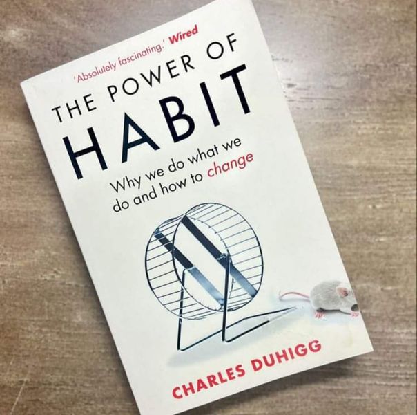 Books World The Power Of Habit Book, Power Of Habit Book, Habit Book, Hot Nerd, Charles Duhigg, The Power Of Habit, Book Seller, Power Of Habit, Habit Books