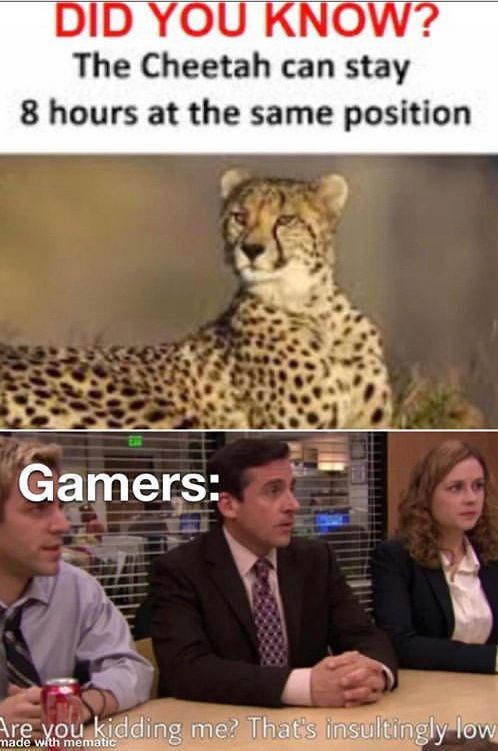 two people sitting at a table in front of a cheetah and the caption gamers