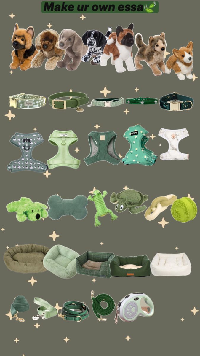 many different types of dog collars and leashes are shown in this image, with stars on the background