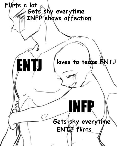 Entj X Entp, Entj Relationships, Enfp Infp, Infp T Personality, Infp Relationships, Entj Personality, Infp Personality Type, Intj Intp, Infp Personality