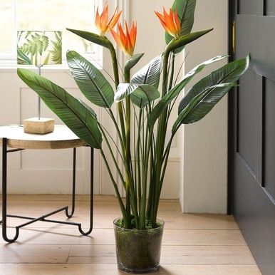 there is a potted plant with orange flowers on the floor next to a table