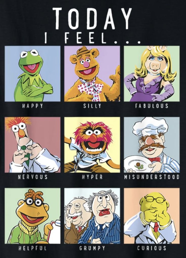 an image of the muppets today t - shirt